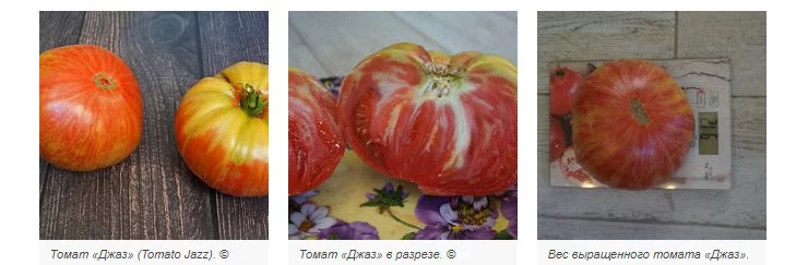 помидоры