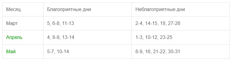 сроки посадки капусты