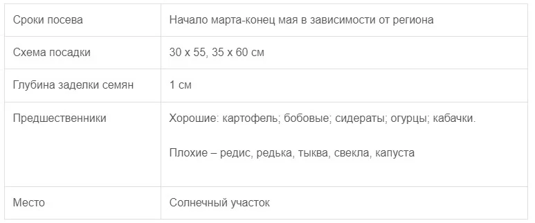 сроки посадки капусты