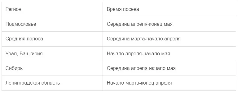 сроки посадки капусты