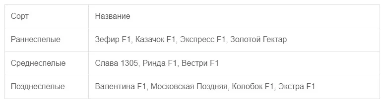популярные сорта капусты